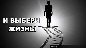 жизнь и смерть