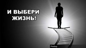 жизнь и смерть