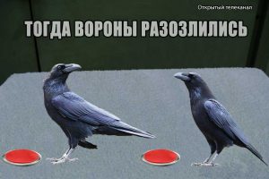 эксперимент