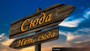 Мудрость развития