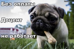 свобода воли