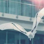 бионическая летучая лисица